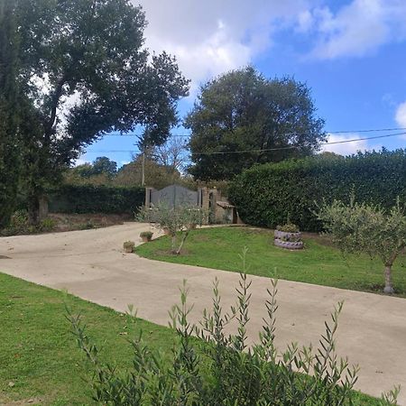 Tenuta Quadrone Cura di Vetralla Dış mekan fotoğraf