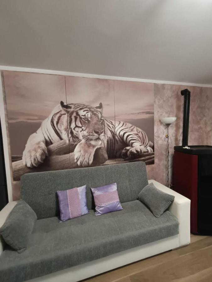 Tenuta Quadrone Cura di Vetralla Dış mekan fotoğraf