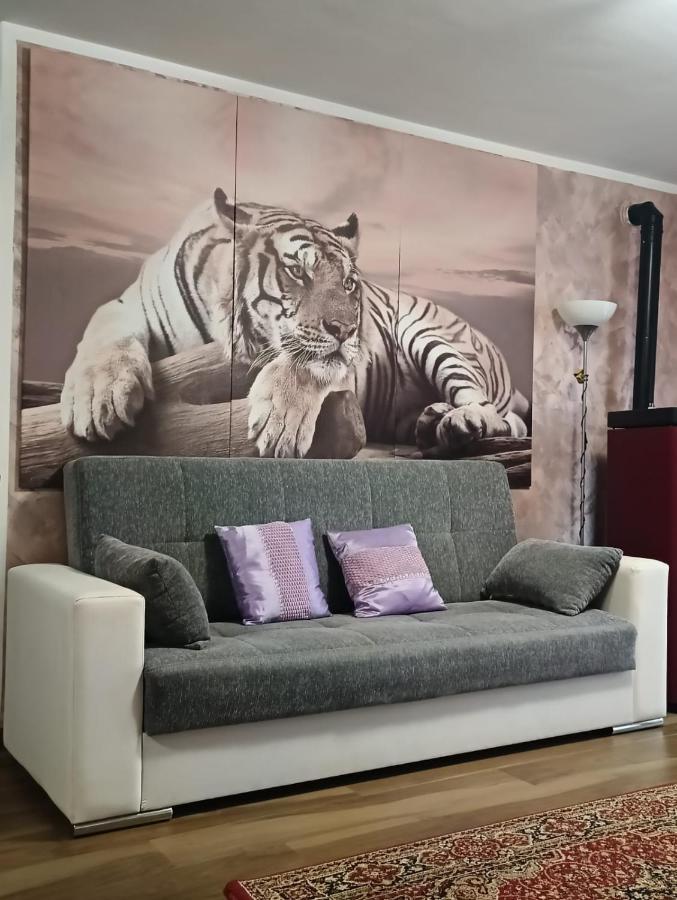 Tenuta Quadrone Cura di Vetralla Dış mekan fotoğraf