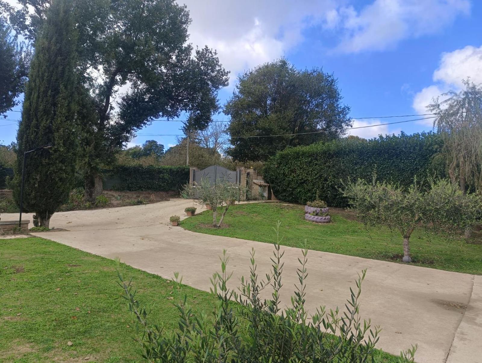 Tenuta Quadrone Cura di Vetralla Dış mekan fotoğraf